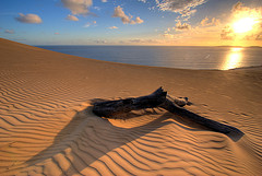 desert-sea.jpg