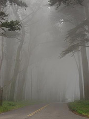 sf-fog1.jpg